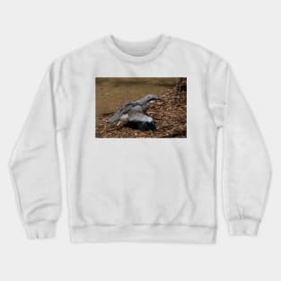 Fluffy Chick Crewneck Sweatshirt